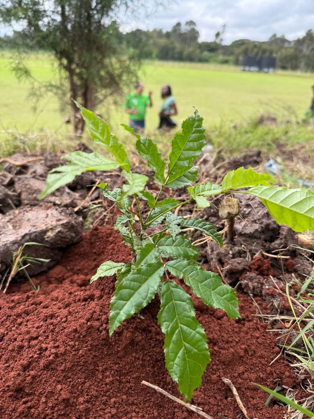 CSR partnership for schools